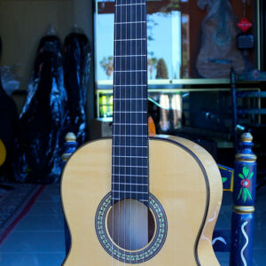 Serie "Arte y Flamenco"